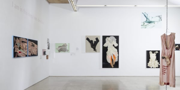 Joanne Hynes Installation 01