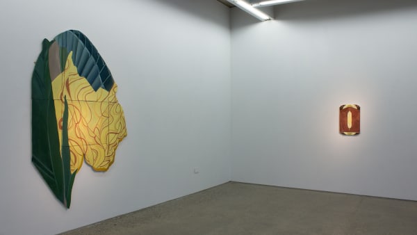 Sonia Shiel Install 2A