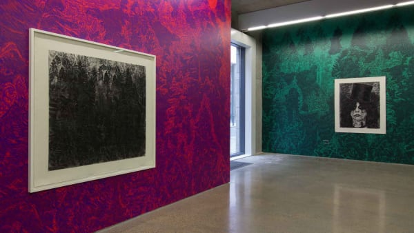 Terra Cognita Install 8