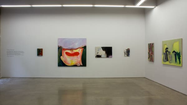 True Colour Install 16