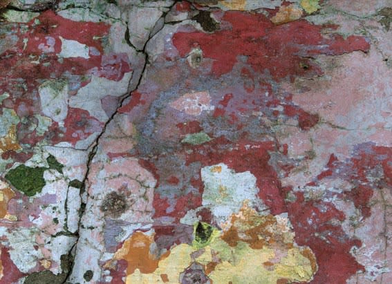 ELAINE BYRNE, SUPPOSE IT'S A MEMORY ANYWAY