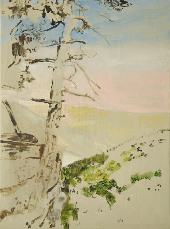 MARGARET CORCORAN, PINS SUR LE PLATEAUX