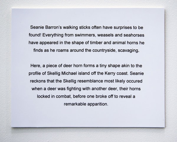 SEAN LYNCH, A MURMUR REPEATED, 2020