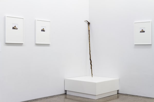 SEAN LYNCH, A MURMUR REPEATED, 2020