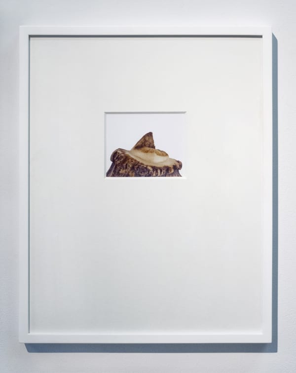 SEAN LYNCH, SKELLIG MICHAEL, 2020