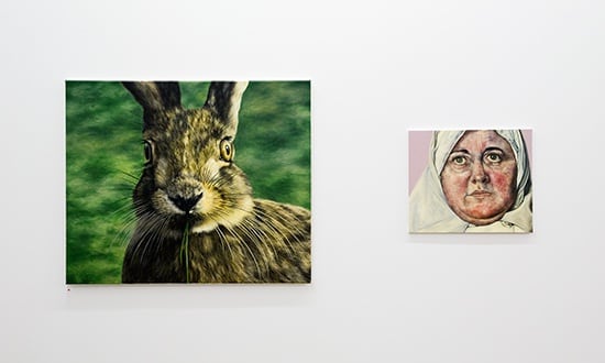 Anglo20Hare Hiberno20Woman Web