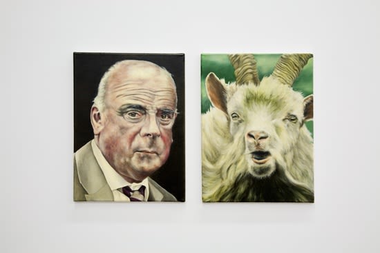 Pascal Eyed Hiberno Goat Web