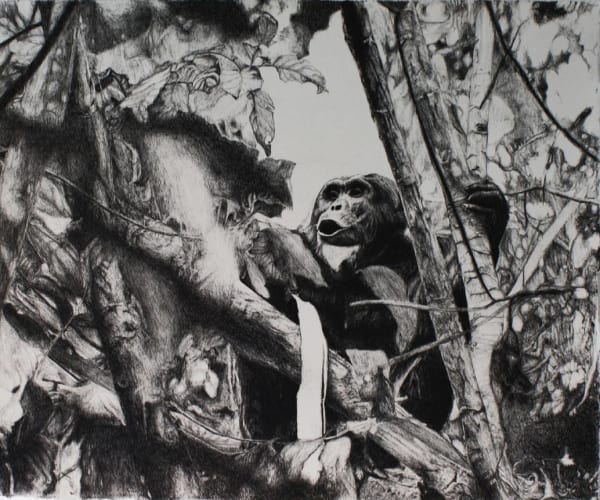 PAUL MCKINLEY, CHIMPANZEE, 2012