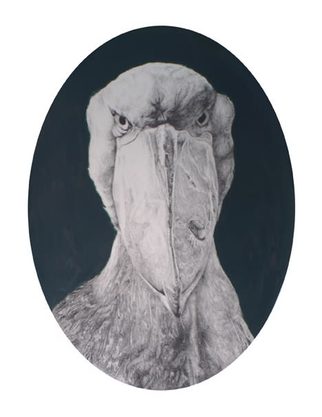 PAUL MCKINLEY, SHOEBILL, 2012