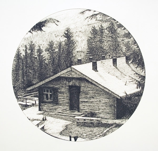 PAUL MCKINLEY, SOLAHUTTE LODGE, 2010