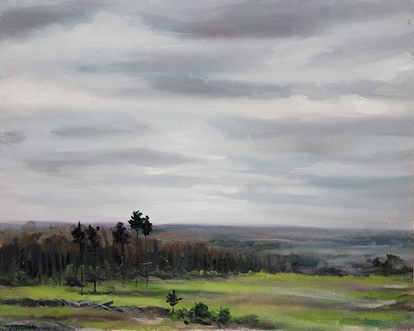 GERALDINE O'NEILL, TÍRDHREACH, 2010