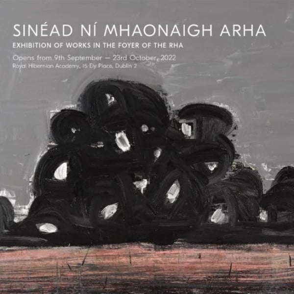 Sinéad Ní Mhaonaigh | Exhibition of Works In The Foyer of The RHA