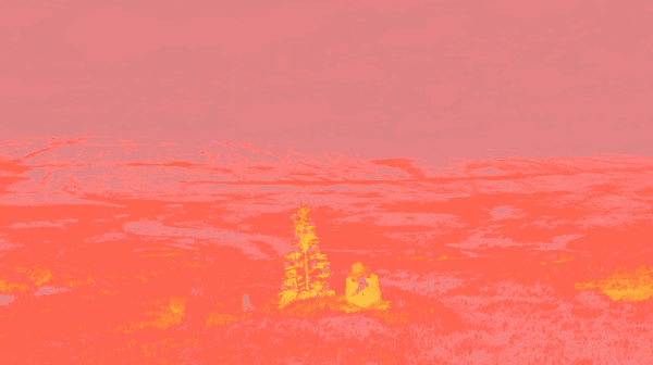 Richard Proffitt | Shadow the Solar Trail | VISUAL Carlow