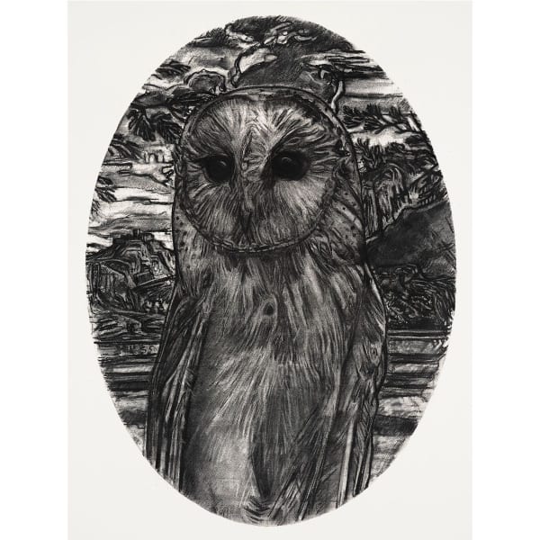 Gary Coyle | Wilton Park Studios 2019 - 2023 Exhibition