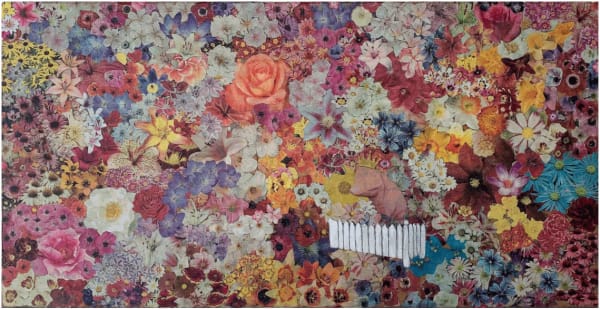 In Bloom | Robert Armstrong, Cecilia Danell, Sinéad Ní Mhaonaigh