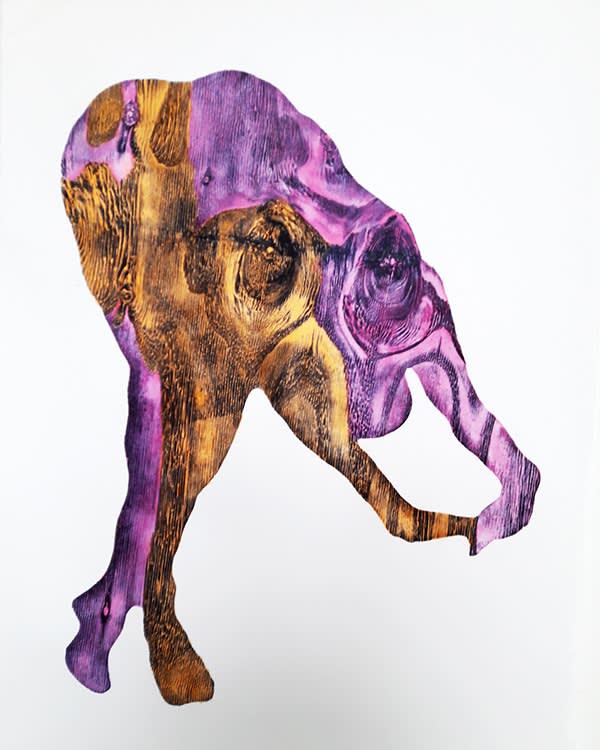 Alice Maher | Galway Arts Centre