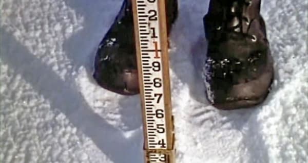 Elaine Byrne : The Ocean After Nature