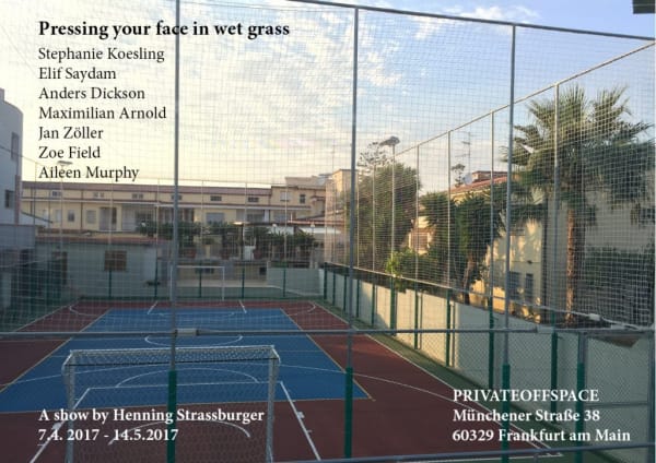 Aileen Murphy | Pressing your face in wet grass