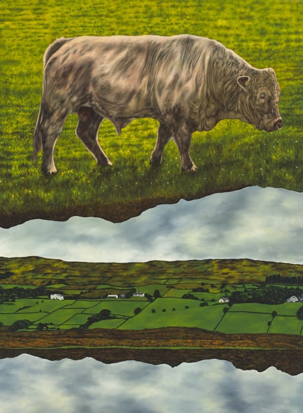 Dermot Seymour,The Settlement, 2014