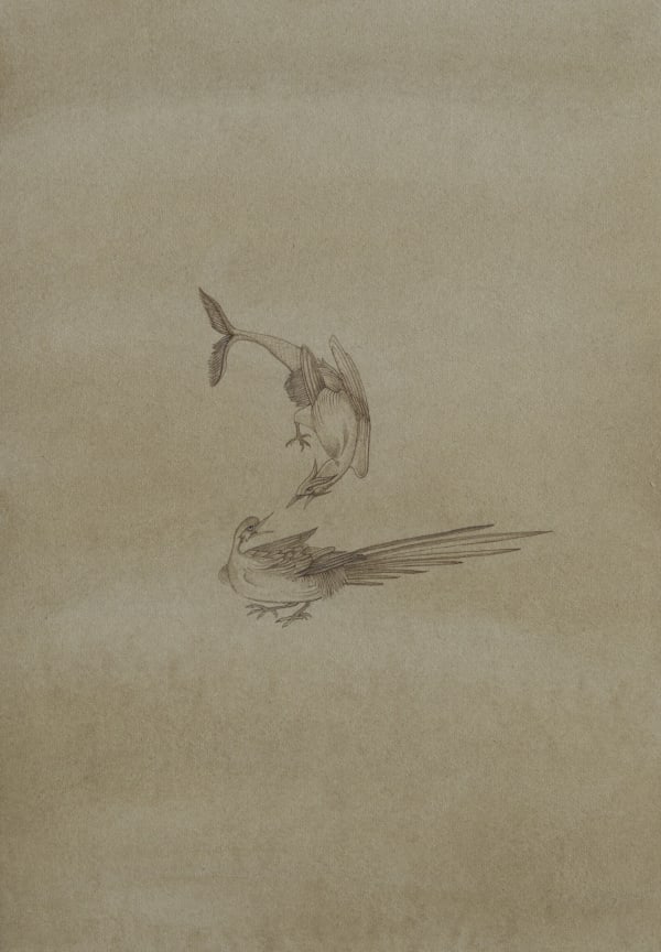 A Sordid Affair, 2018