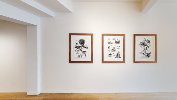 Kristin Hejllegerde Wandsworth Adieu To Old England Sverre Malling 01272021 113813