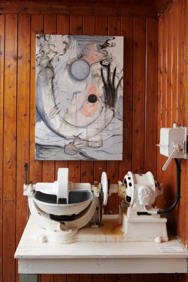 N858610Webopplosning