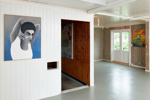 N858614Webopplosning