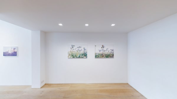 Kristin Hjellegjerde Wandsworth Dor Beetles Slumbering At Dusk Vibeke Slyngstad 10152021 105359