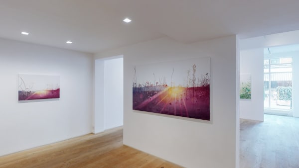 Kristin Hjellegjerde Wandsworth Dor Beetles Slumbering At Dusk Vibeke Slyngstad 10152021 105442