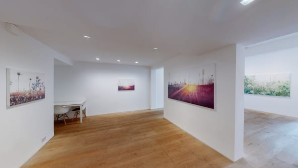 Kristin Hjellegjerde Wandsworth Dor Beetles Slumbering At Dusk Vibeke Slyngstad 10152021 105535