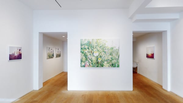 Kristin Hjellegjerde Wandsworth Dor Beetles Slumbering At Dusk Vibeke Slyngstad 10152021 105851