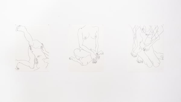 Armoured Khjellegjerde Bjdeakin Photography 1526