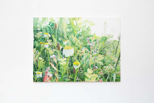 Untitled Bjdeakin Photography 8995