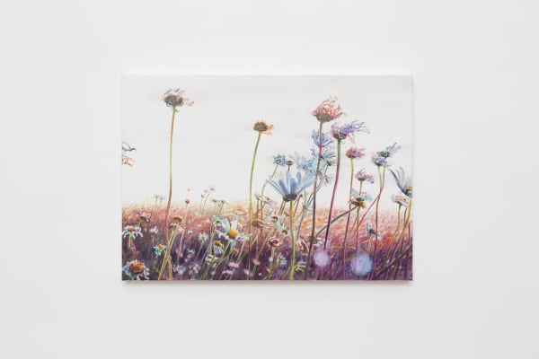 Untitled Bjdeakin Photography 8998