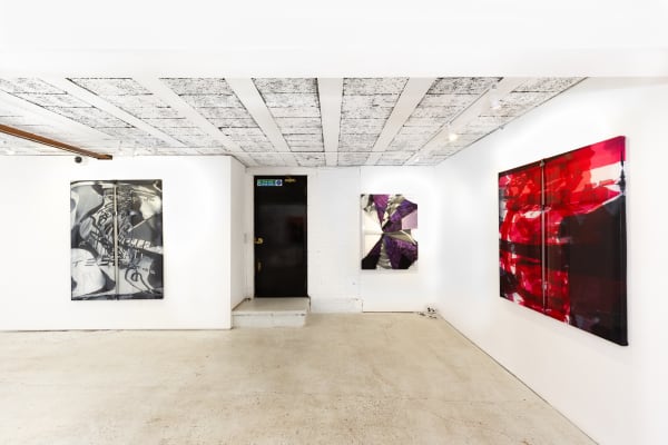 Kristinhjellegjerde Lb Feb22 9815