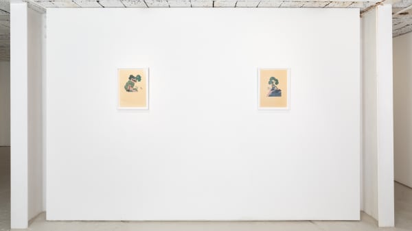 Mahaahmed Install 22 Bjdeakin Photography 4476