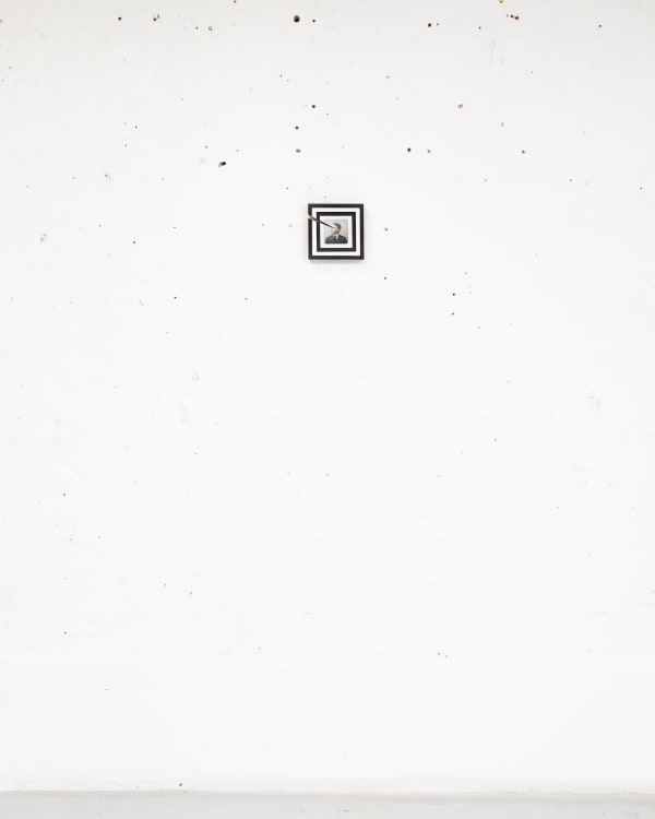 Jonnybriggs Bjdeakin Photography 7343