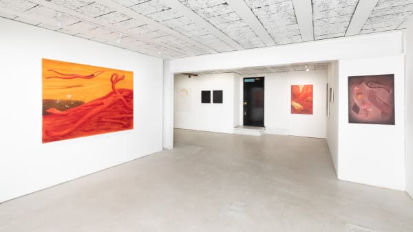 Tomorrow Jan23 Bjdeakin Photography 7874