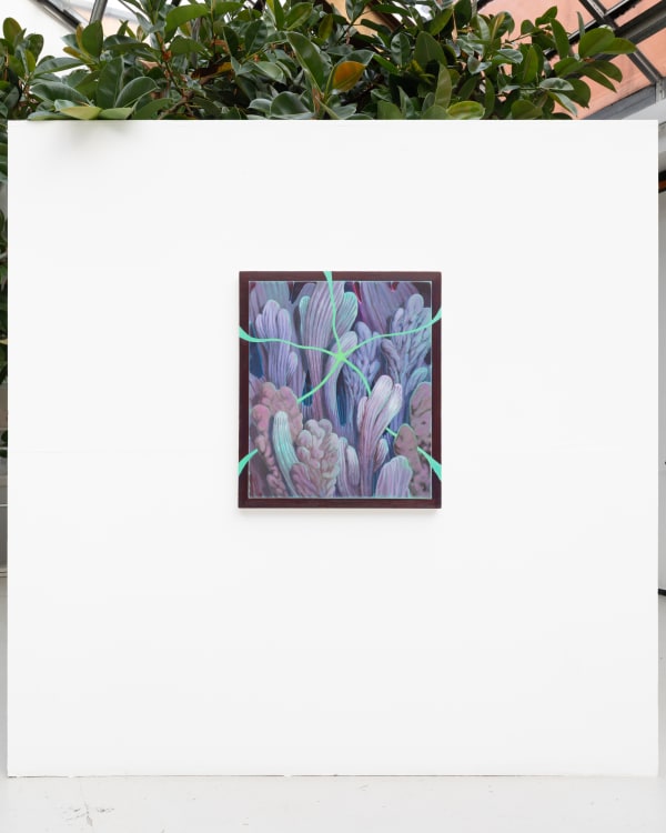 Tomorrow Jan23 Bjdeakin Photography 7901