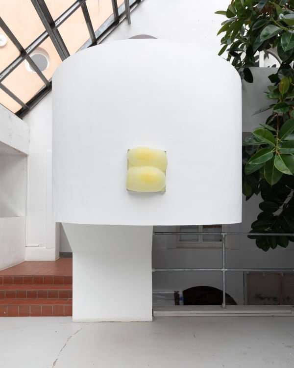 Tomorrow Jan23 Bjdeakin Photography 7909