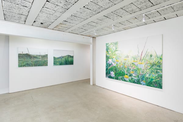 Vibekeslyngstad Bjdeakinphotography 3549