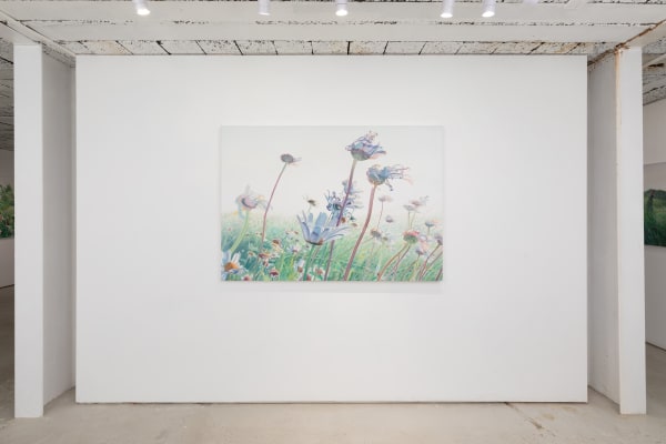 Vibekeslyngstad Bjdeakinphotography 3593