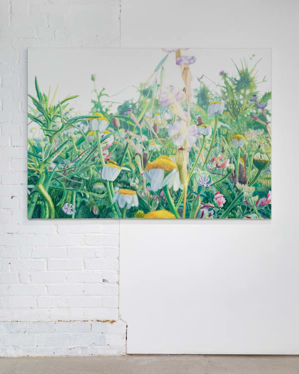 Vibekeslyngstad Bjdeakinphotography 3600