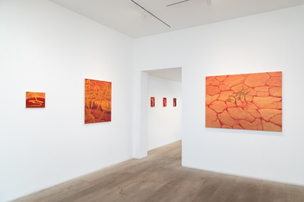 Paulaturmina Bjdeakinphotography 8894