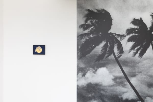 Sintatantra Bjdeakinphotography 8461