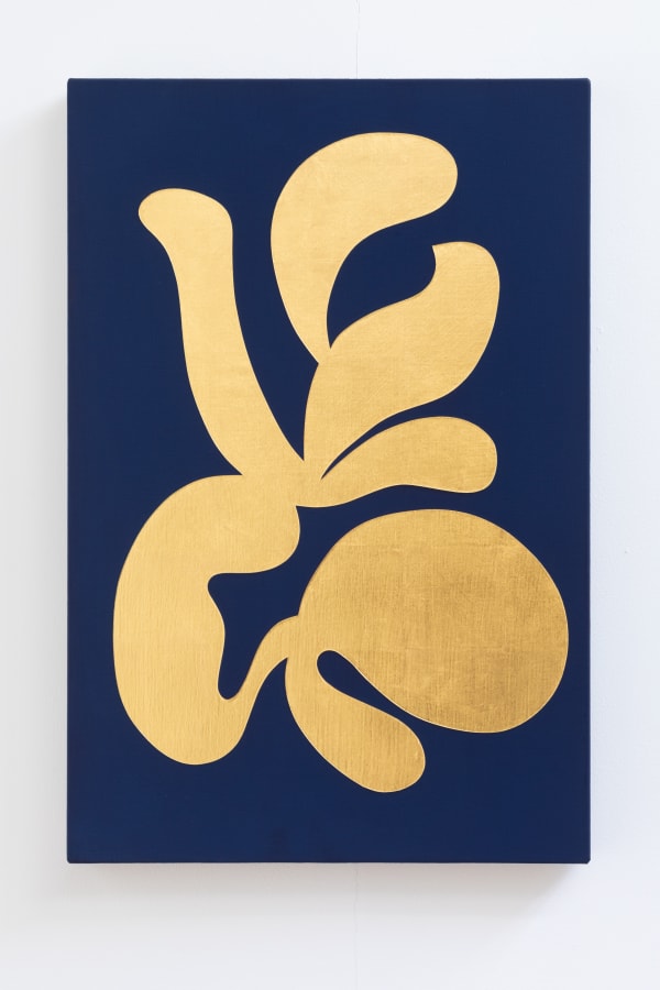 Sintatantra Bjdeakinphotography 8486