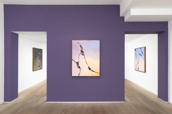 Larsmorell Bjdeakinphotography 2539