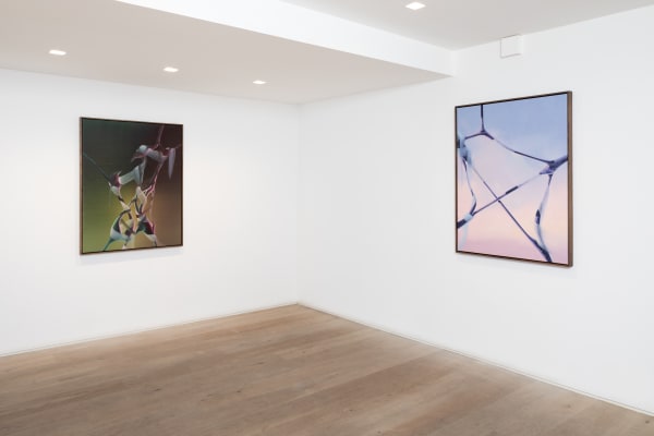 Larsmorell Bjdeakinphotography 2574