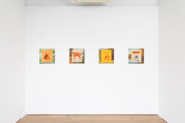 Muhammadzeeshan Bjdeakinphotography 6004