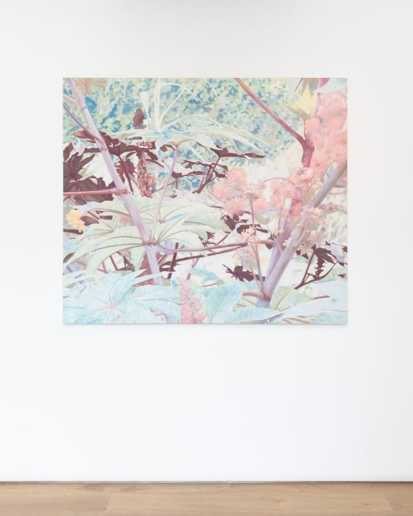 Martinepoppe Bjdeakin Photograpy 8382